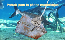 Acquista Magnete al neodimio 1pc Magnete di ricerca super forte D20-D75  Gancio magnetico per pesca di salvataggio Magneti per pesca d'altura con  anello
